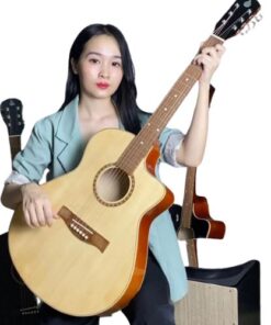 Đàn guitar acoustic SV-A1