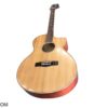 Đàn guitar acoustic SV-A1