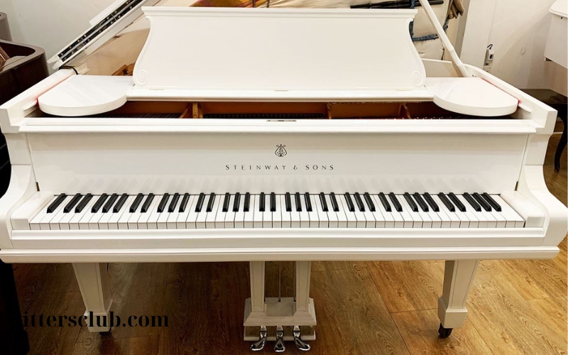 Đàn Piano cơ trắng Steinway (2)